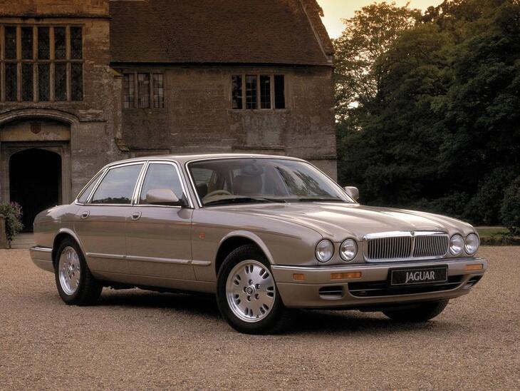Jaguar-3244