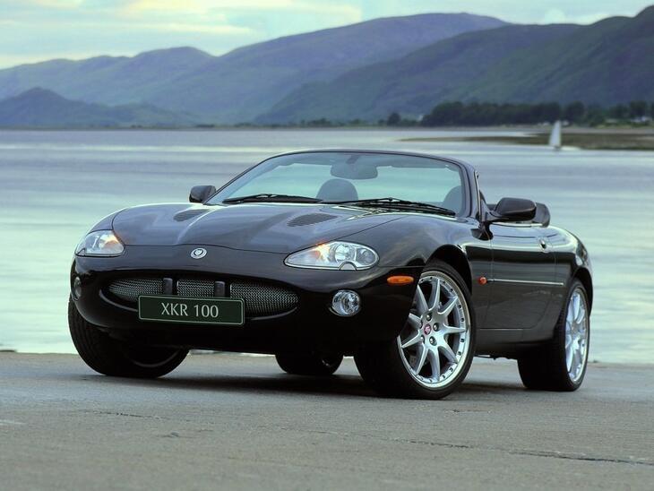 Jaguar-26278