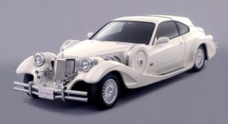 Mitsuoka-30399