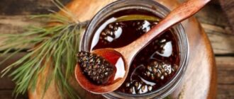 Как сварить варенье из сосновых шишек