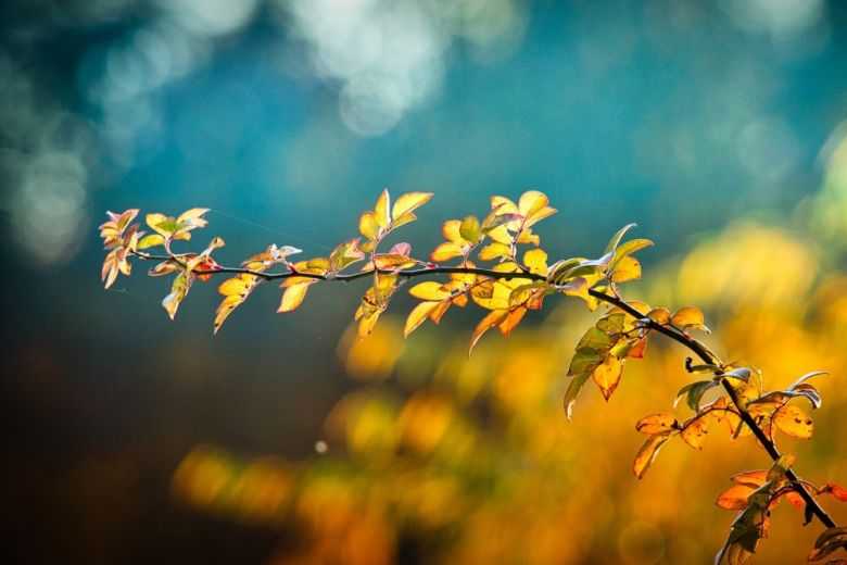 Приметы и поверья на 10 сентября 2020 года