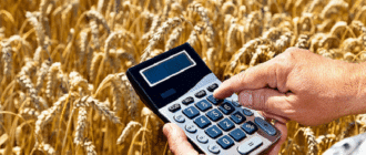 Как получить кредит на развитие сельского хозяйства