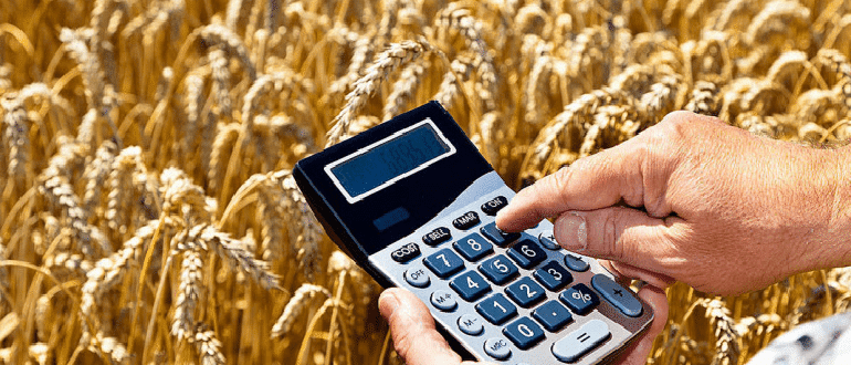 Как получить кредит на развитие сельского хозяйства